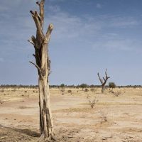 Policy Brief No. 1 Desertification and Climate Change in Africa