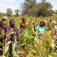 Policy Brief No. 3 Enhancing
Food Security
in a Changing
Climate in
Africa